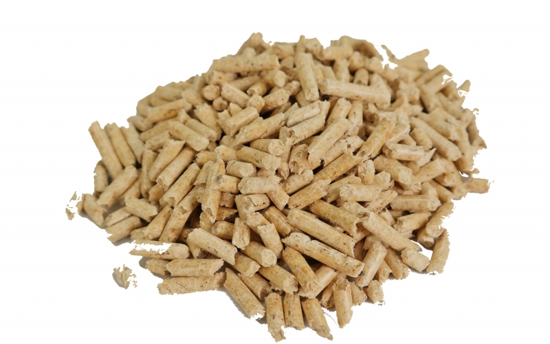 Pellets Lose 